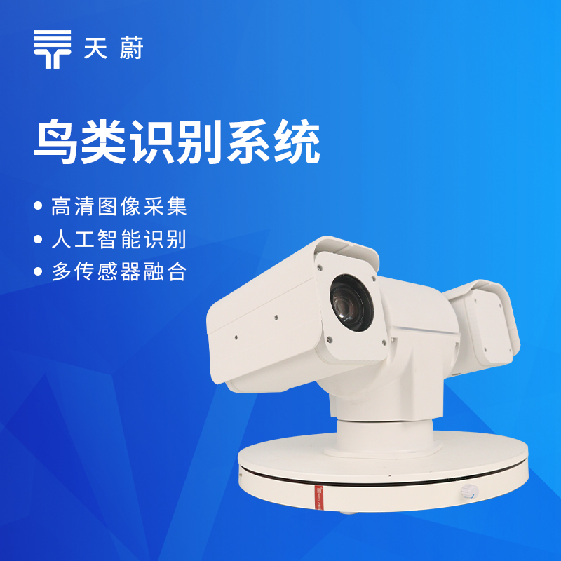 生态保护区鸟类AI识别系统:天蔚智能生物多样性监测方案