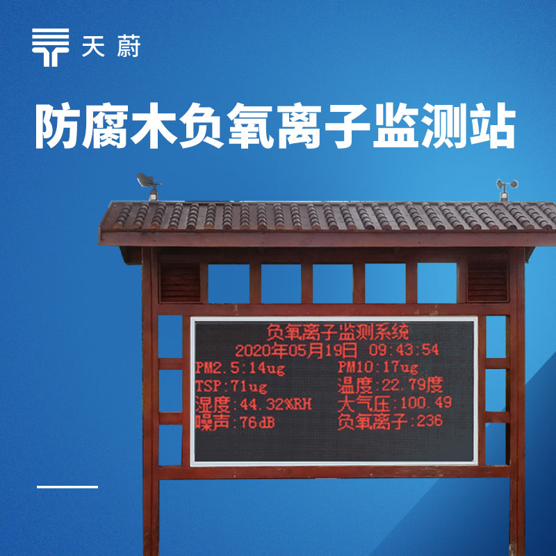 2026负氧离子监测站十大品牌排行榜｜景区森林氧吧空气质量公示专用（推荐TW-FZ4）